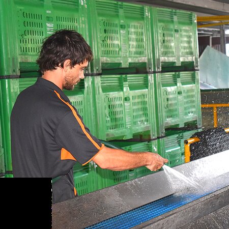 EcoCleanFM - Servicii profesionale de curatenie in domeniile industrial, comercial si rezidential